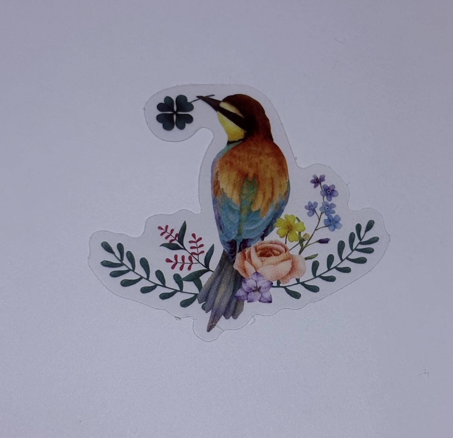 European Bee Eater Bird Sticker Animal Art Transparent Journal Decal Vinyl Tc6