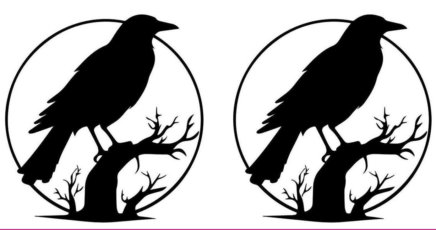 Crow Raven on Tree Indoor Removable Black Vinyl Decal Walls Tablet Laptop