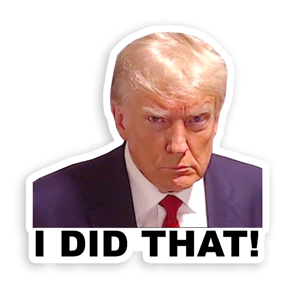 I Did That Donald Trump Meme stickers Outdoor Waterproof Decal Pack 100 Mugshot