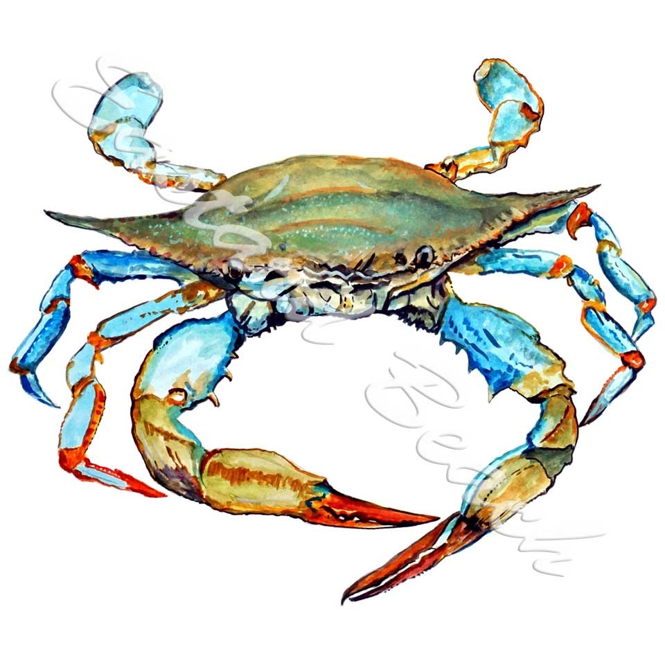 Blue Crab Printed Vinyl Decal Sticker – Car Truck SUV RV Cooler Tumbler