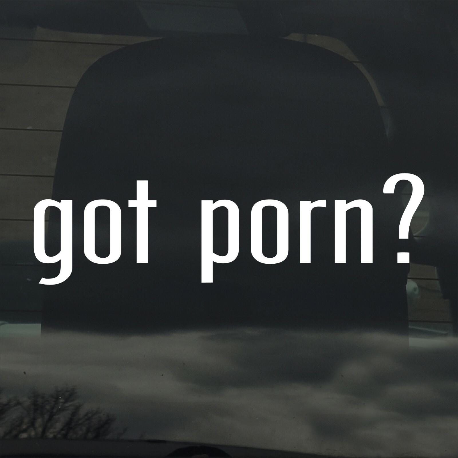Got Porn? Vinyl Sticker Decal for Car Window Laptop & More Movies Video XXX
