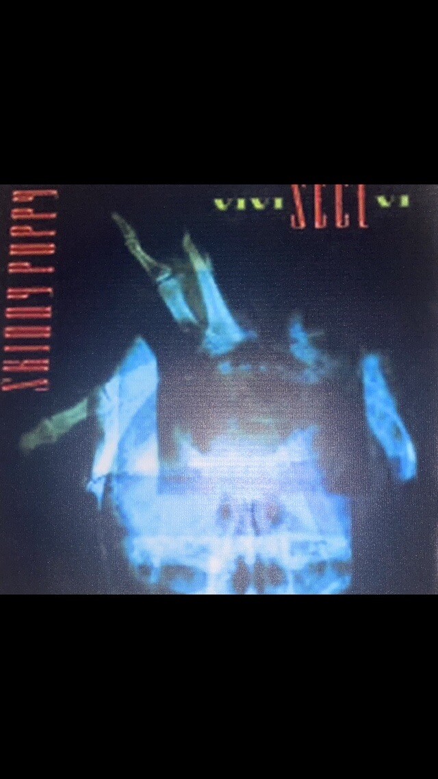 Skinny Puppy Vivisect VI 1’ X 1’ Vinyl Wall Art