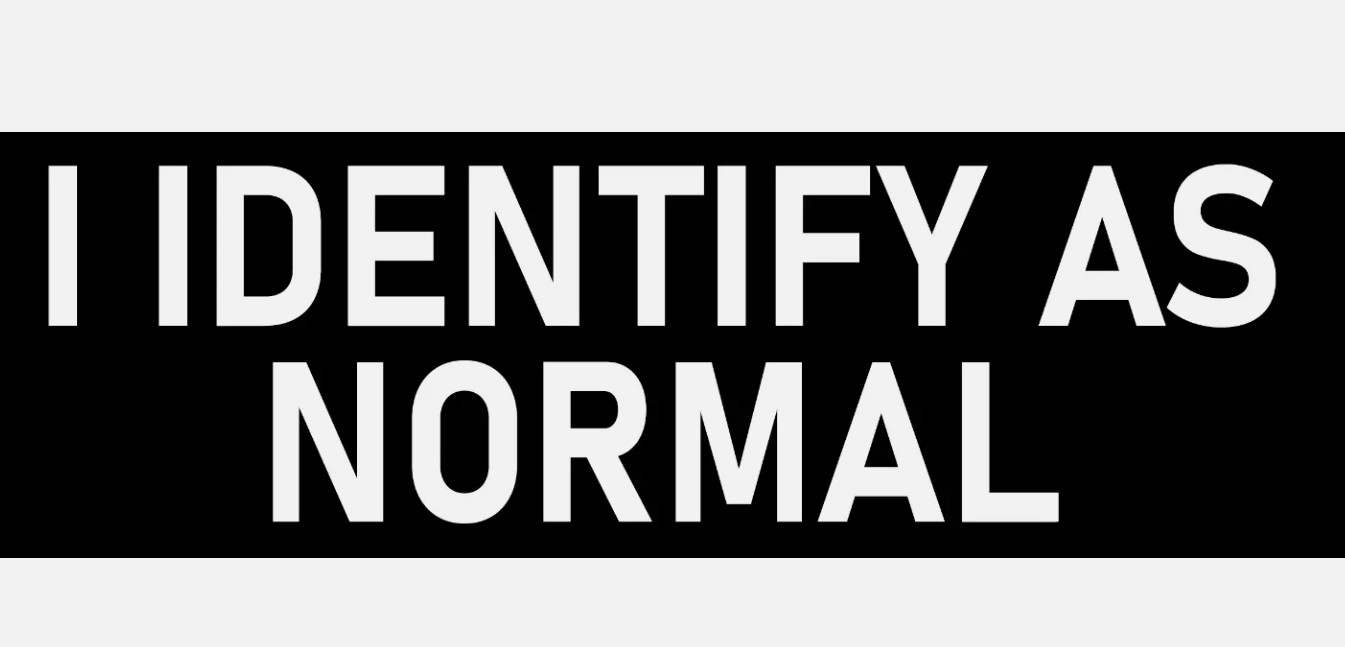 I Identify as Normal Bumper Sticker Funny Car Sticker Decal Funny Bumper Sticker