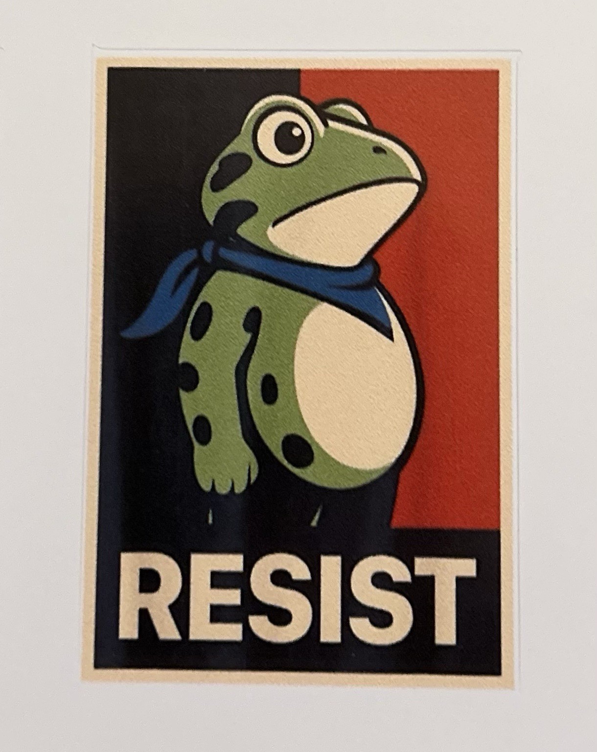Resist Frog Pro-Democracy Die-cut Vinyl Protest Sticker 2.5”x2.5”