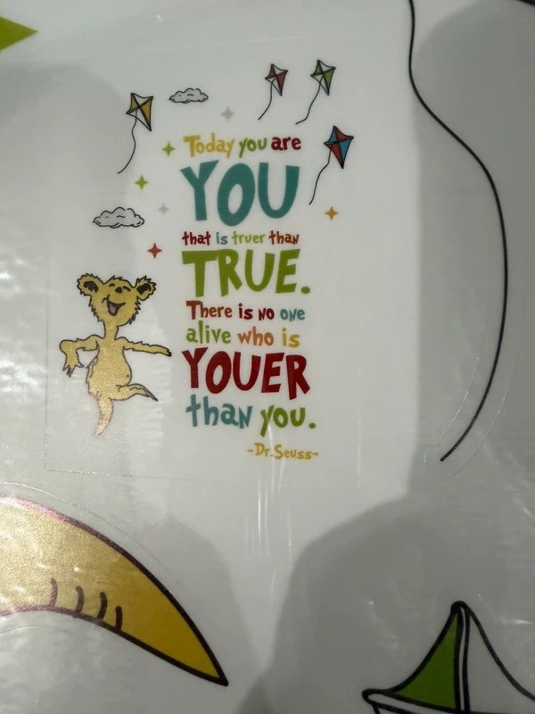 Dr. Seuss Wall Decals Never Used Teacher Classroom Decor Nursery Decor