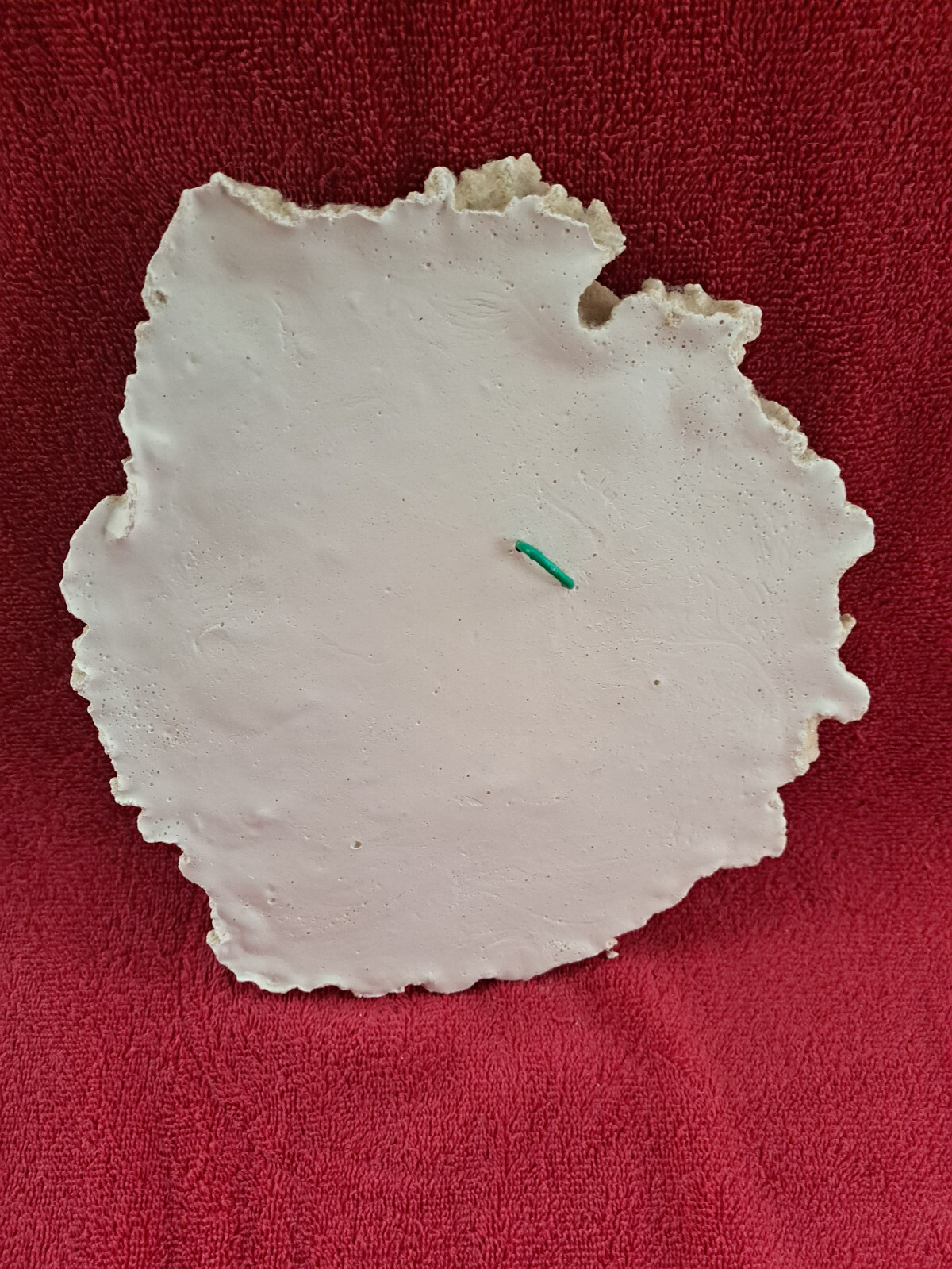 Nautical Wall Decor / Sand sculpture