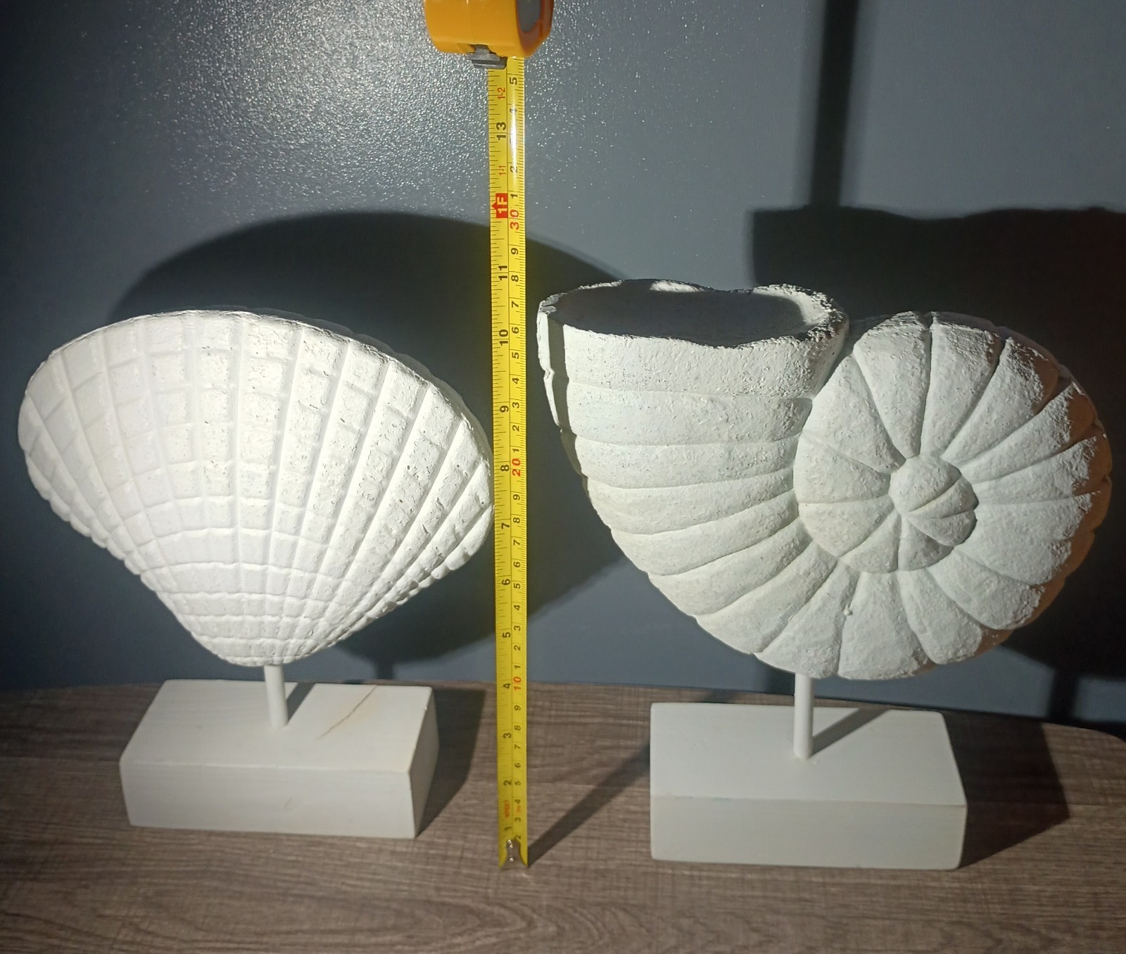2pcs Large Nautilus Shell Sculptures Coastal Beach Home Decor SeaShell 10"X8"X2"