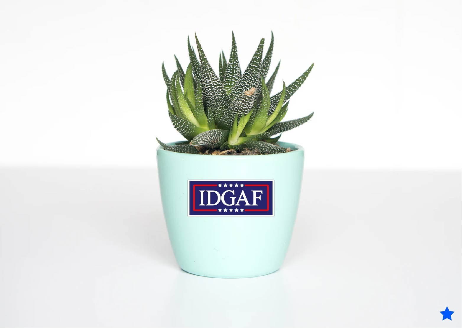 IDGAF Decal Sticker Political Trump MAGA Newsom USA Vote Nobody Independent None