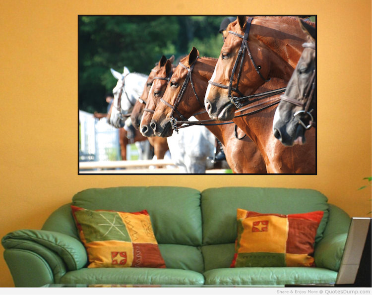 Horses Wall Decal Farm Horse Horseback Riding Frame Vinyl Removable Art, a41