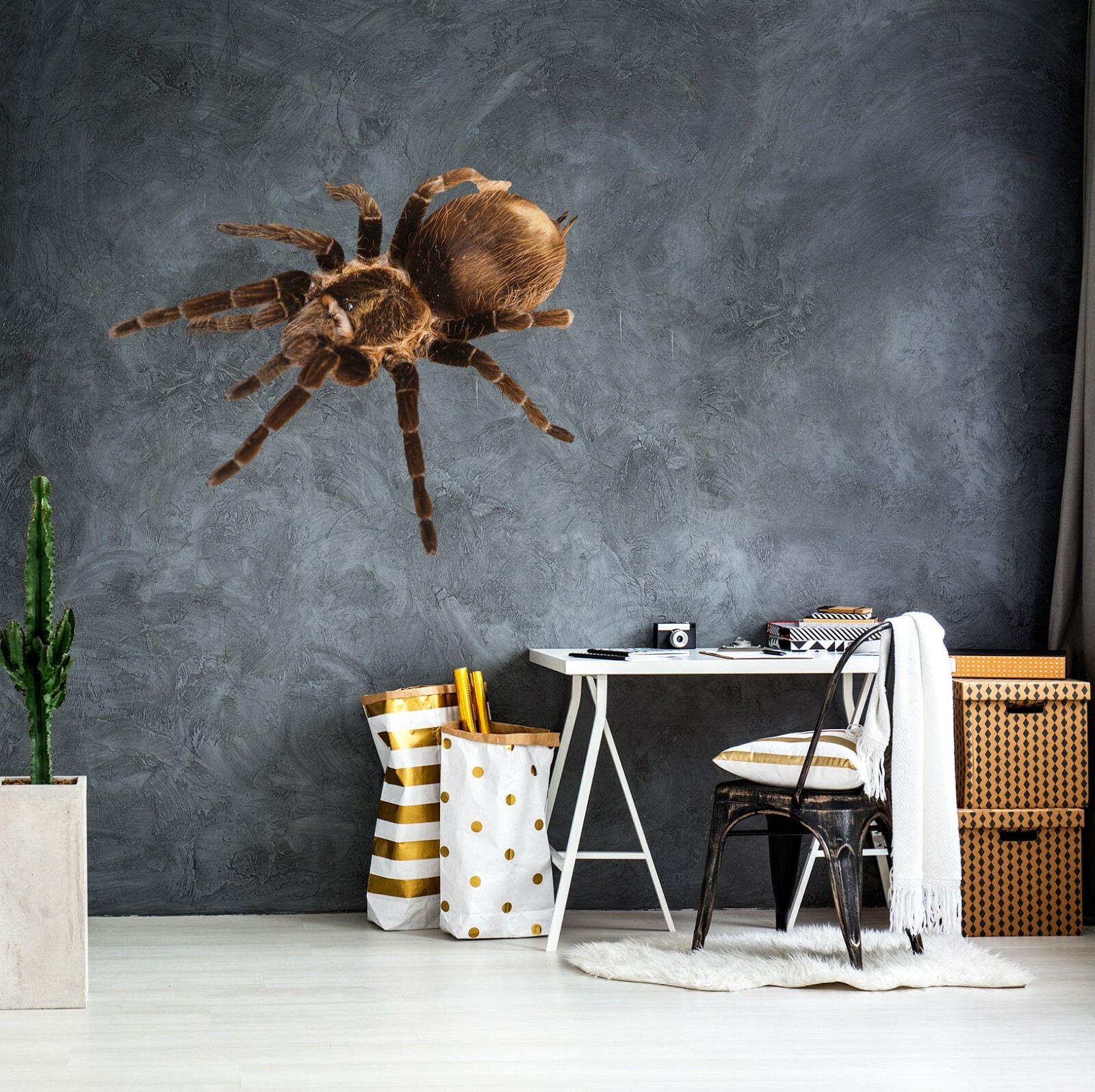 3D Hairy Spider G476 Animal Wallpaper Mural Poster Wall Stickers Decal Honey