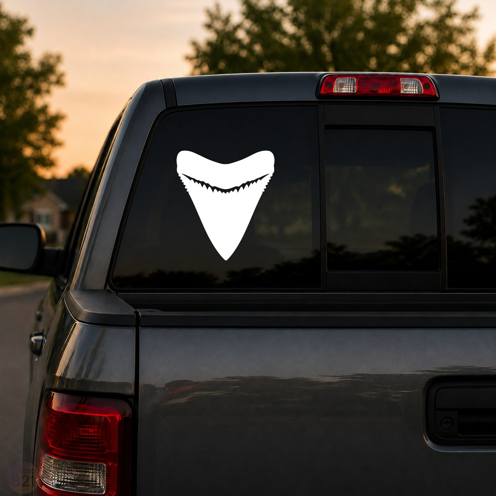 Shark Tooth Megalodon Teeth fossil Decal sticker Waterproof indoor outdoor