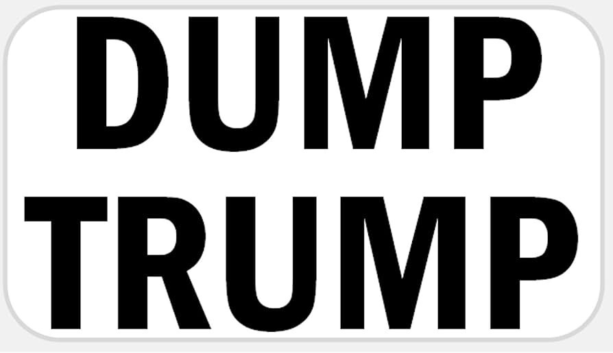 Anti Trump Vinyl Decal | Political Protest Car Sticker – No Trump 2024