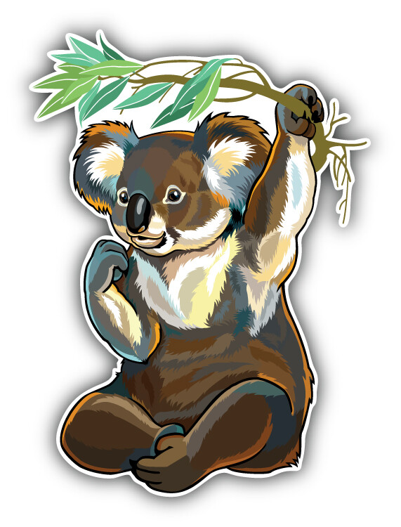 Koala Bear Car Bumper Sticker Decal