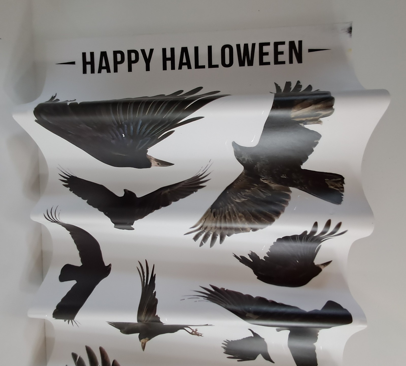 Happy Halloween Blackbirds Crows Wall Art Self-Adhesive Removable