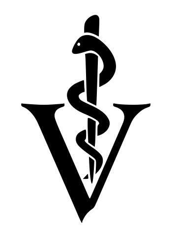 VETERINARY Doctor DVM tech medical decal sticker (2 Decals)