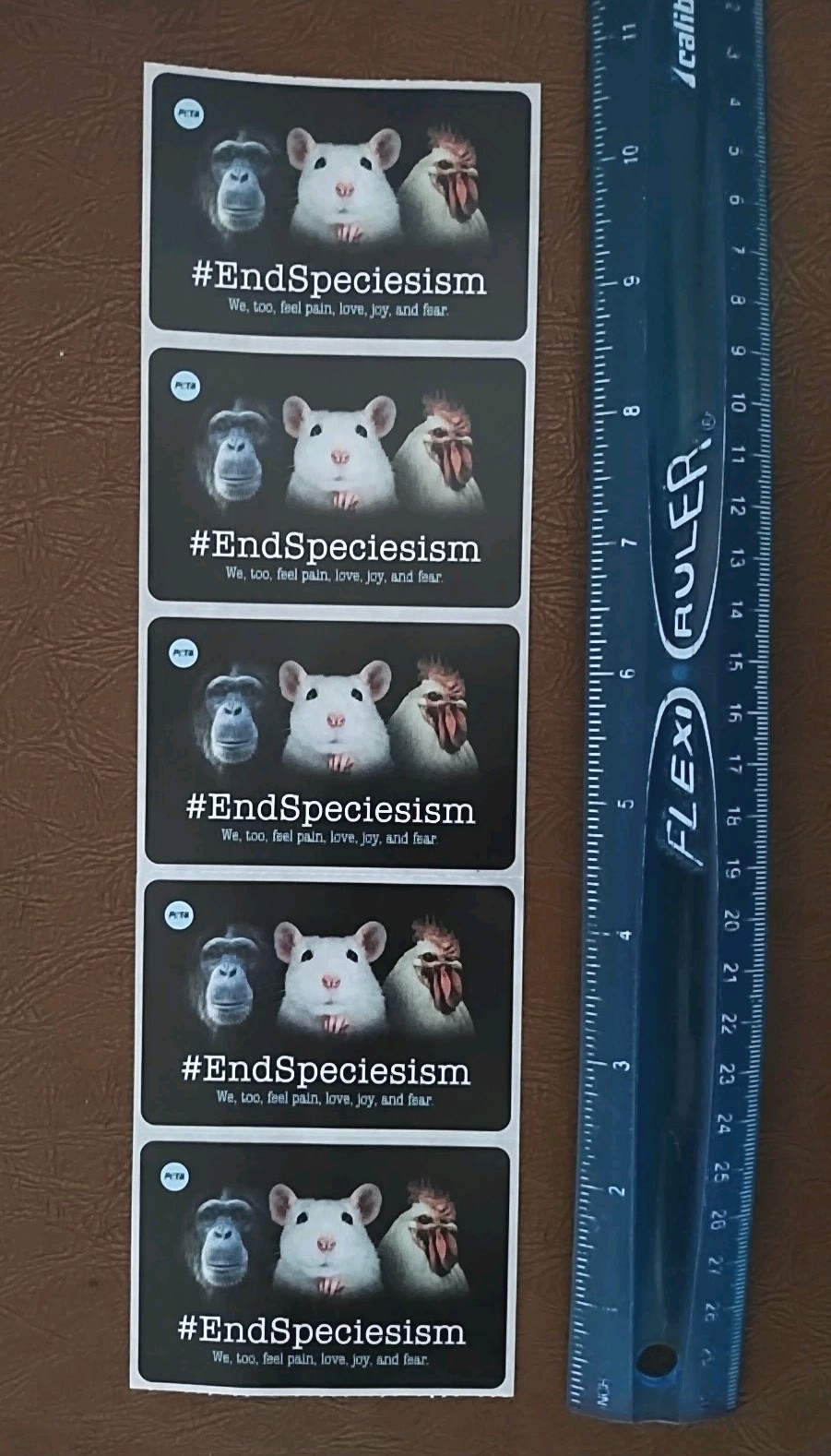 1 Sheet with 5 PeTA Stickers: #EndSpeciesism.We,too,feel pain. Each Size 3"x 2"