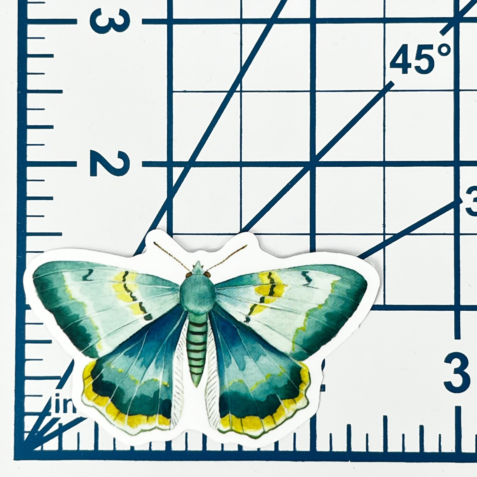 Teal Emerald Swallowtail Moth Vinyl Sticker Vintage Green Insect Journal Laptop