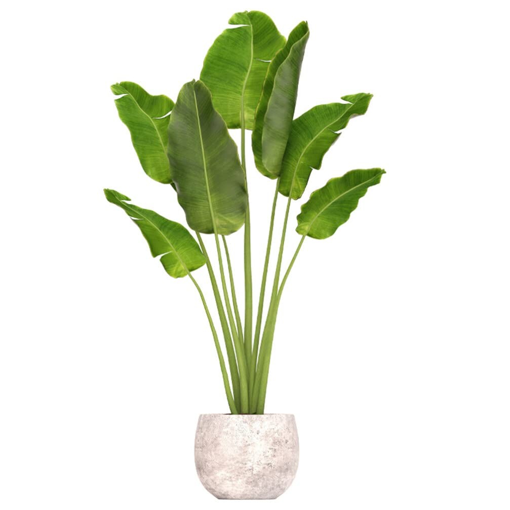 Green Plant Wall Decal Peel and Stick – 3D Realistic Potted Plant Wall Sticke…