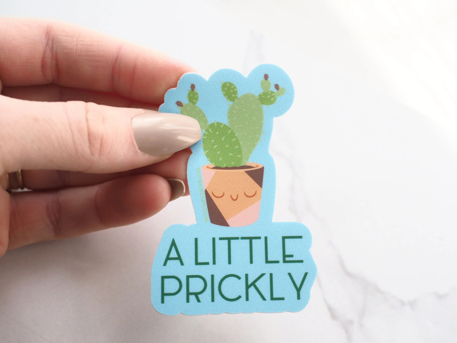 A Little Prickly Cactus Sticker – Funny Plant Decal for Laptop & Water Bottle