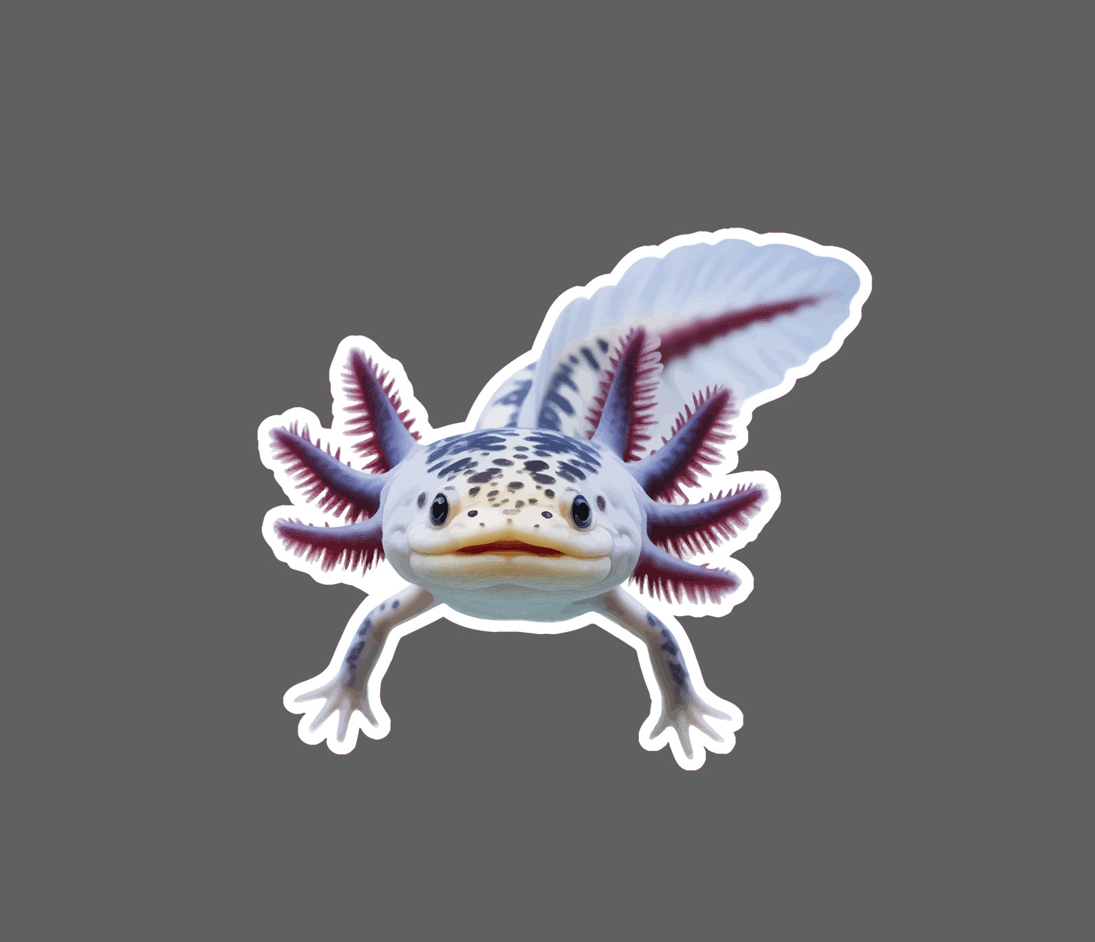 Axolotl Sticker Pet Animal Friend Wildlife Nature Gift Waterproof NEW