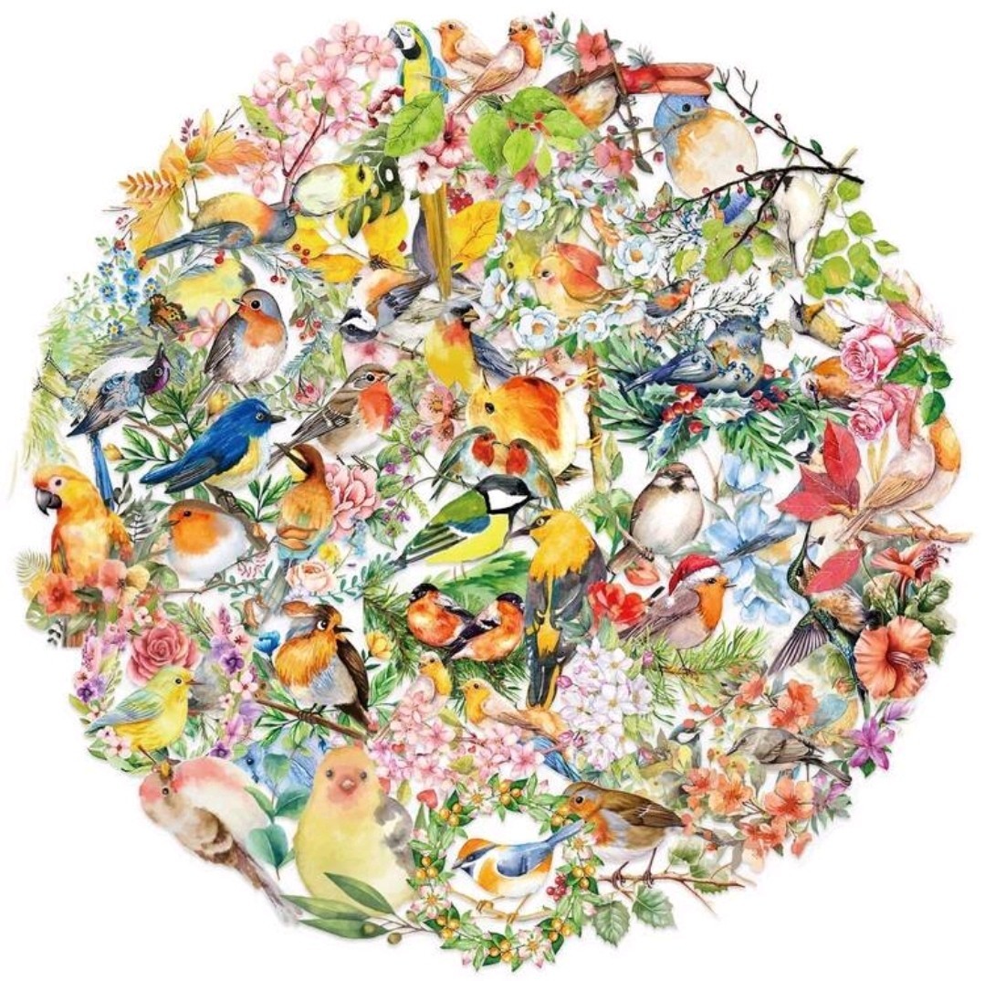 20 Pcs Multicolor Birds & Floral Decal Stickers Multiple Designs