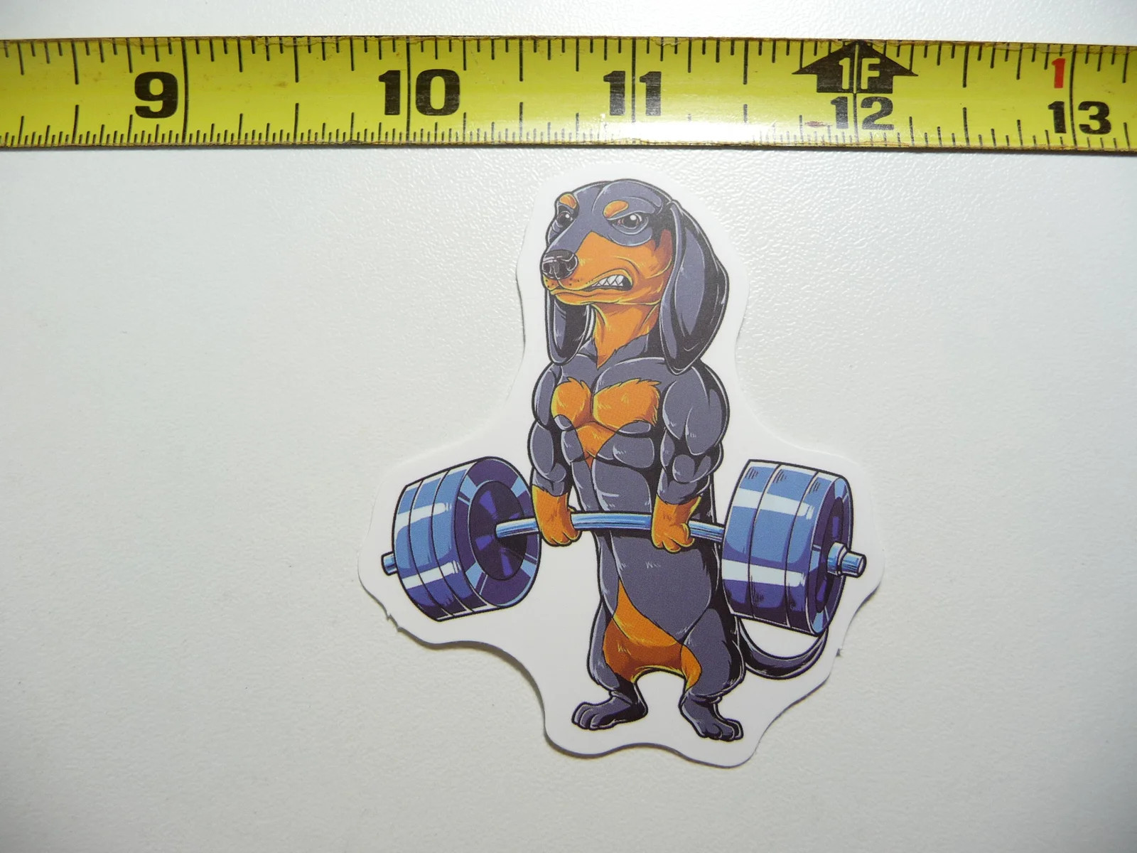 DACHSHUND LIFTING WEIGHTS RIPPED SMALL STICKER DECAL DOG PET DOXIE WIENER LOVE