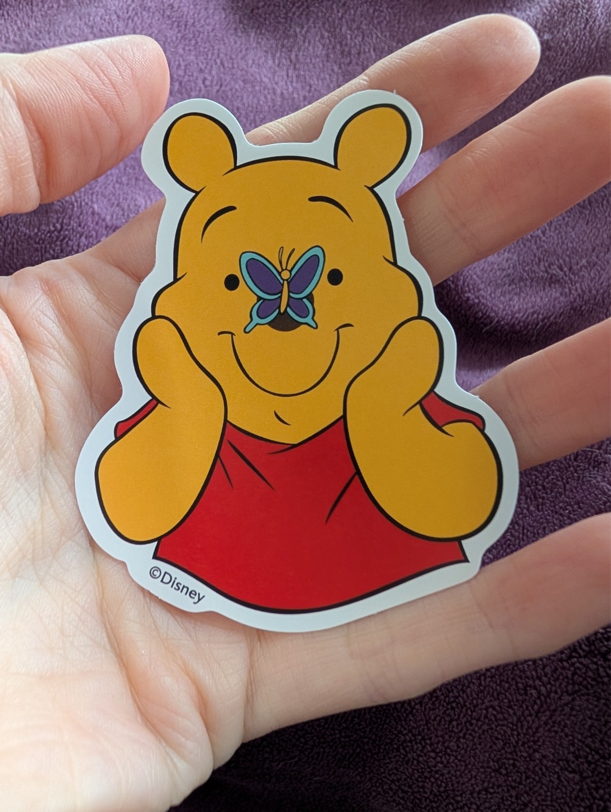Winnie the Pooh Sticker | Whimsical Cartoon Vinyl, Pooh