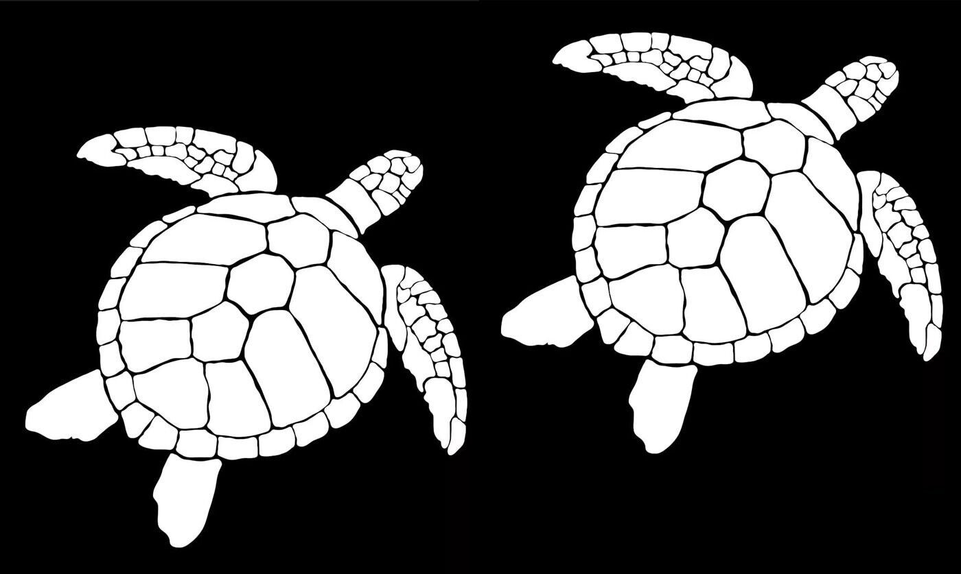 Sea Turtle Two 5" White Vinyl Decals Car Truck Windows Laptop Notebook Tablet