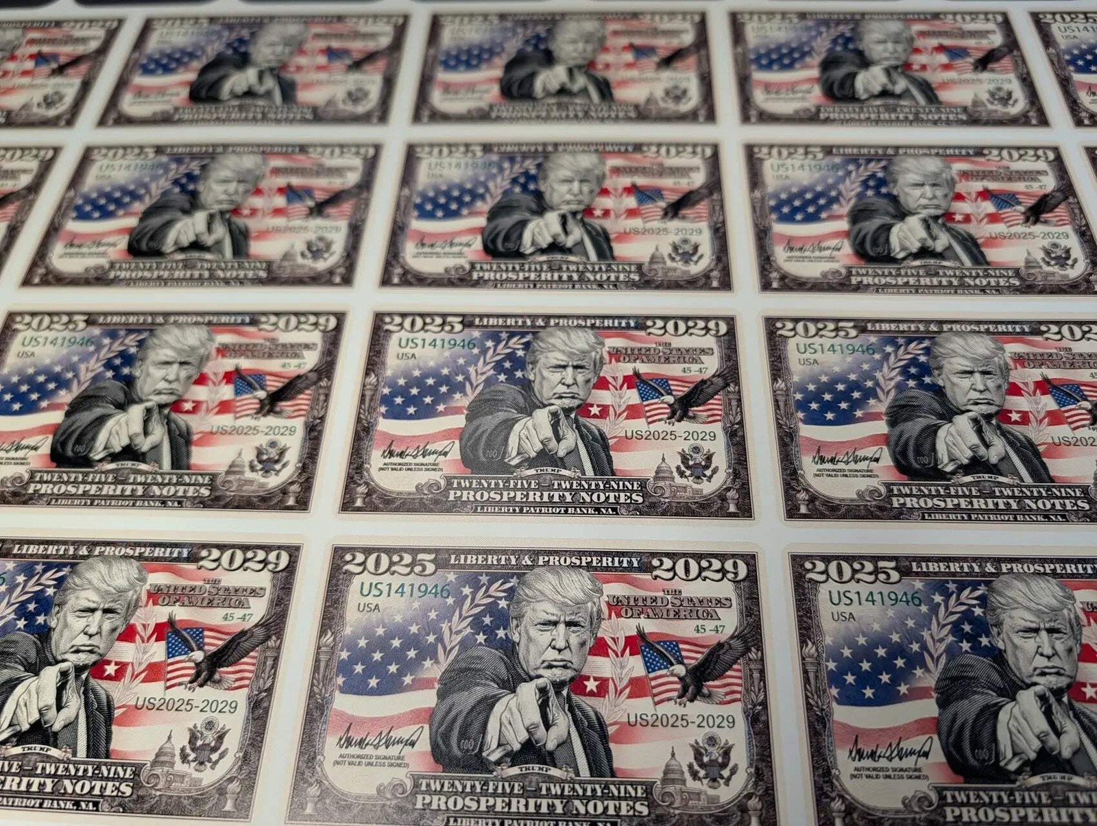 Trump 2024 Credit Card Bill Skin, Debit Card Covering