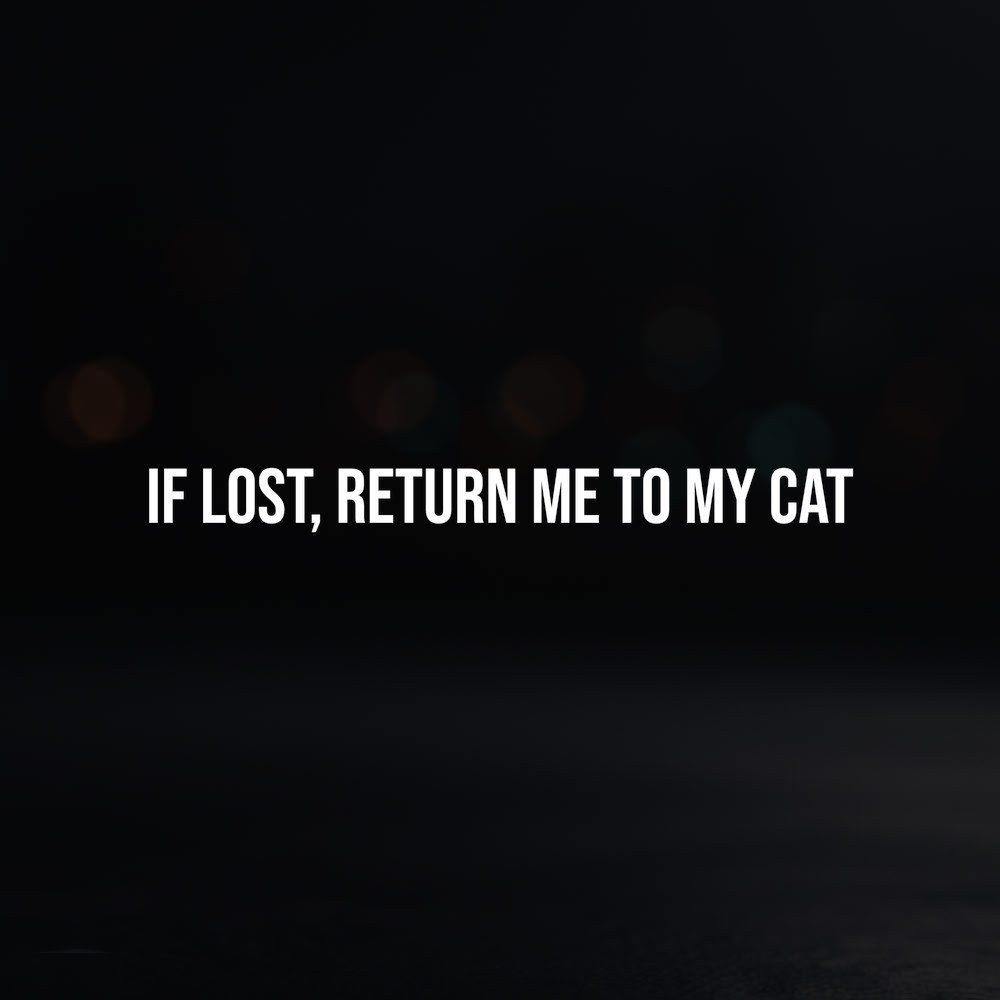 8in Vinyl Decal Sticker – "If Lost, Return Me To My Cat"