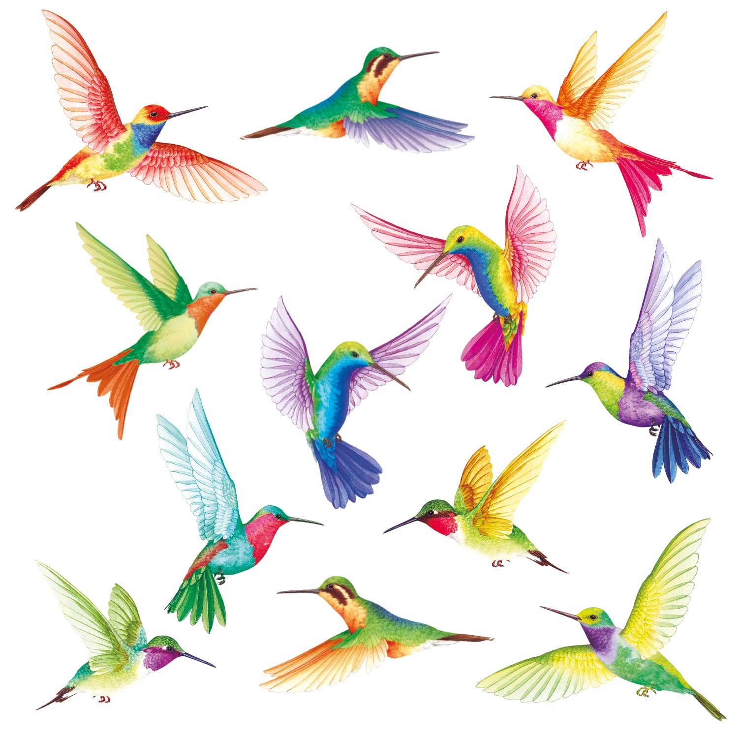DS-8060 Tropical Flowers and Hummingbirds Wall Decals Stickers Room Bedroom L…