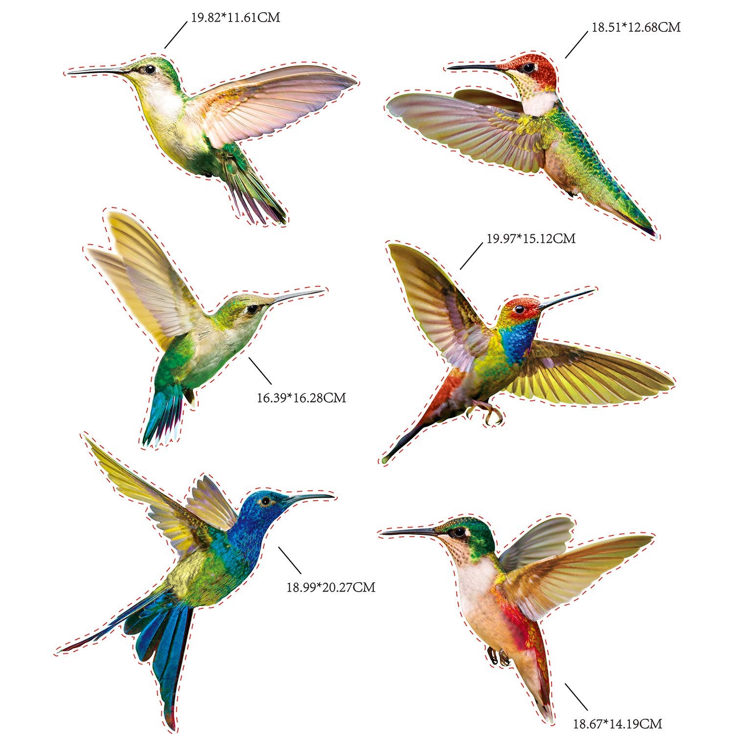 Blulu 6 Pieces Large Size Hummingbird Window Clings 6pcs, Multicoloured