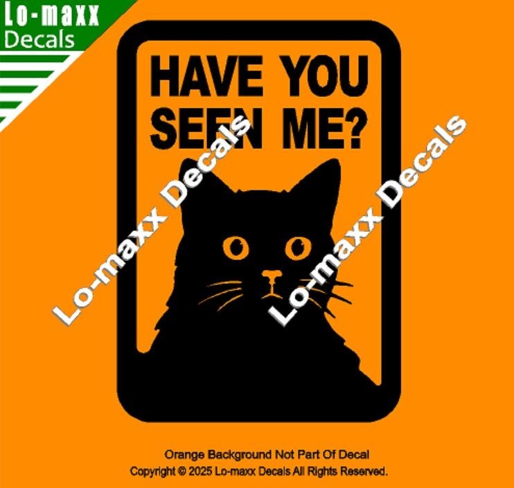 Have You Seen Me Lost Cat Sticker Art Funny Vinyl Decal For Laptop Door Locker