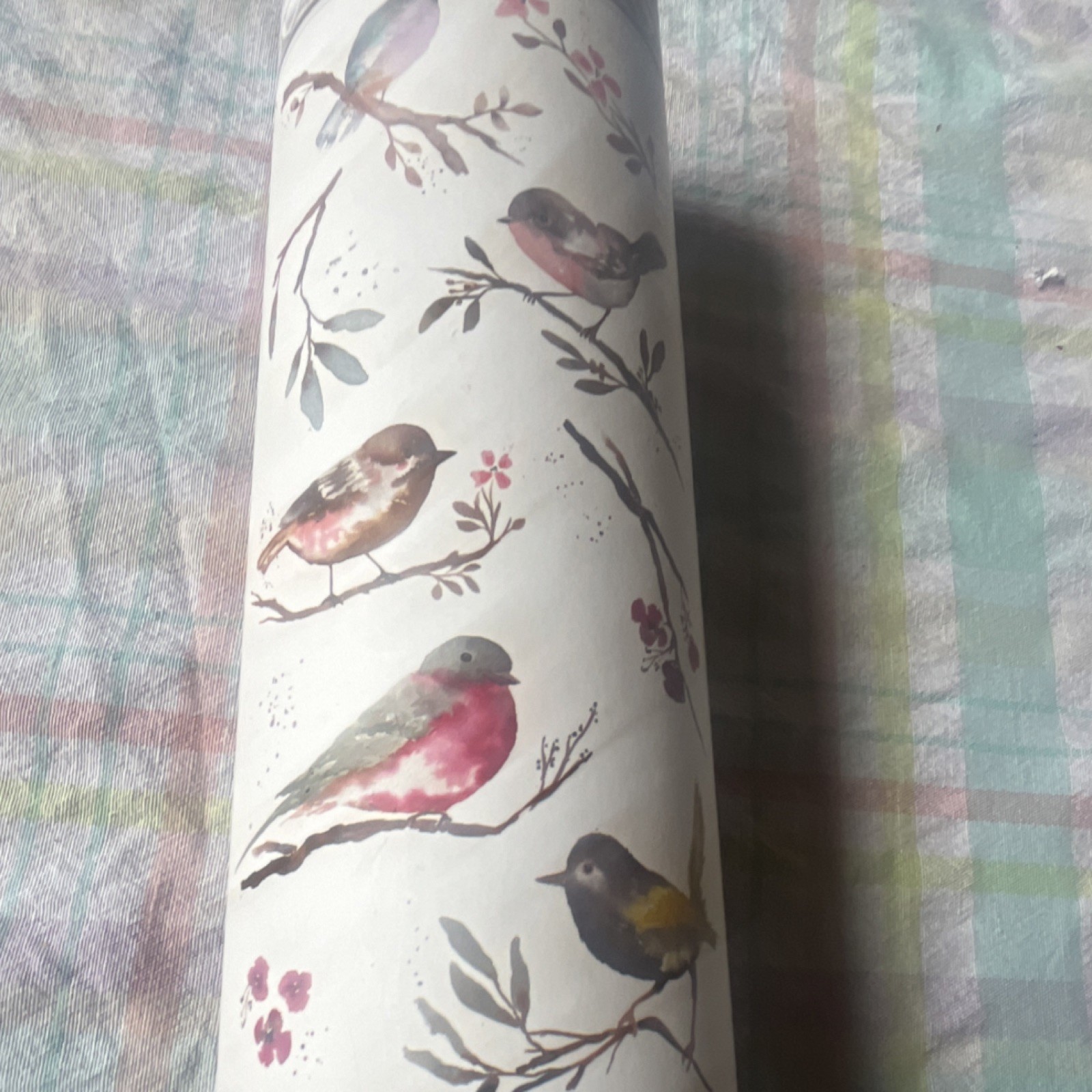 TriVink Removable Multicolor Vinyl Birds Wall Decal 11x22in WallArt