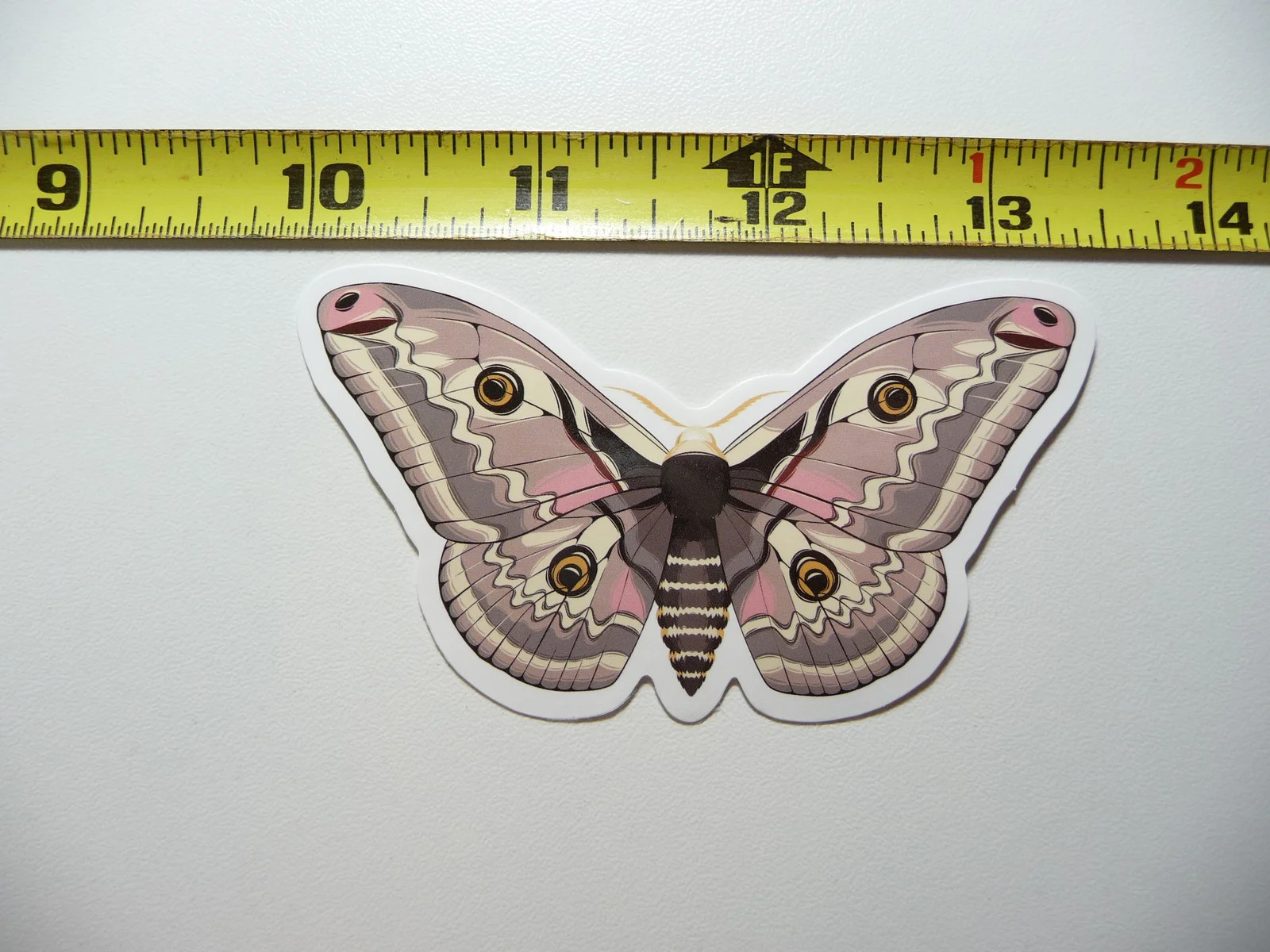 MOTH #2 SMALL STICKER DECAL BUG INSECT FUN FUNNY