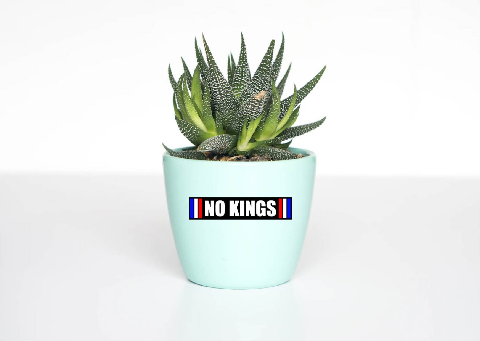 No Kings Decal Sticker Anti Trump MAGA Red White Blue Rights Protest Day 2025