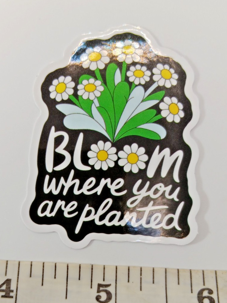 Plants-Garden-Bloom Where You're Planted-Vinyl Sticker-Decal-NWOT-Free Shipping!