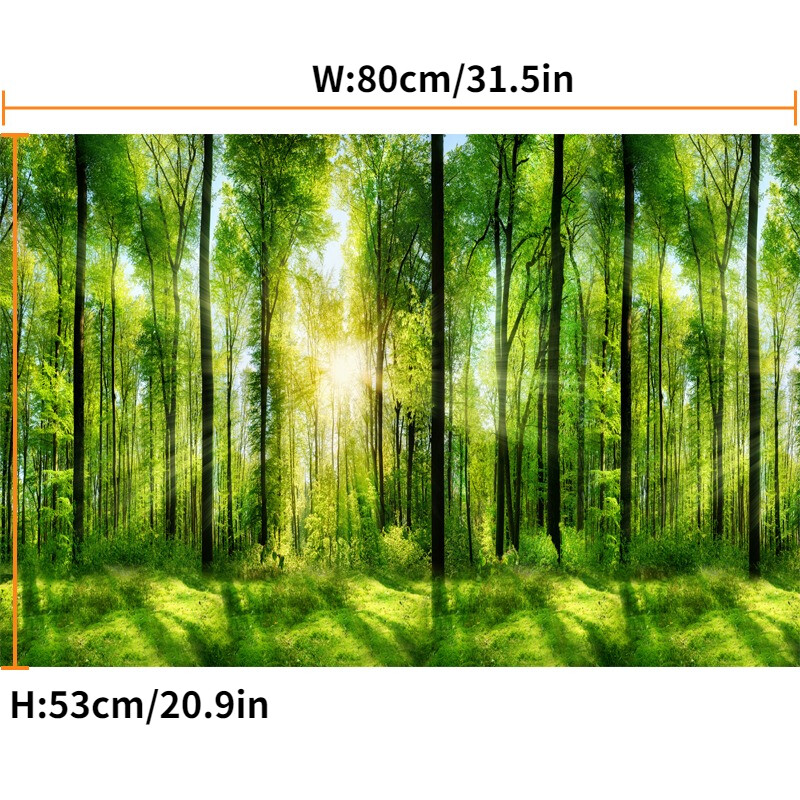 1x 3D Forest Wall Mural Landscape Wallpaper Art wall Paint Removable Sticker