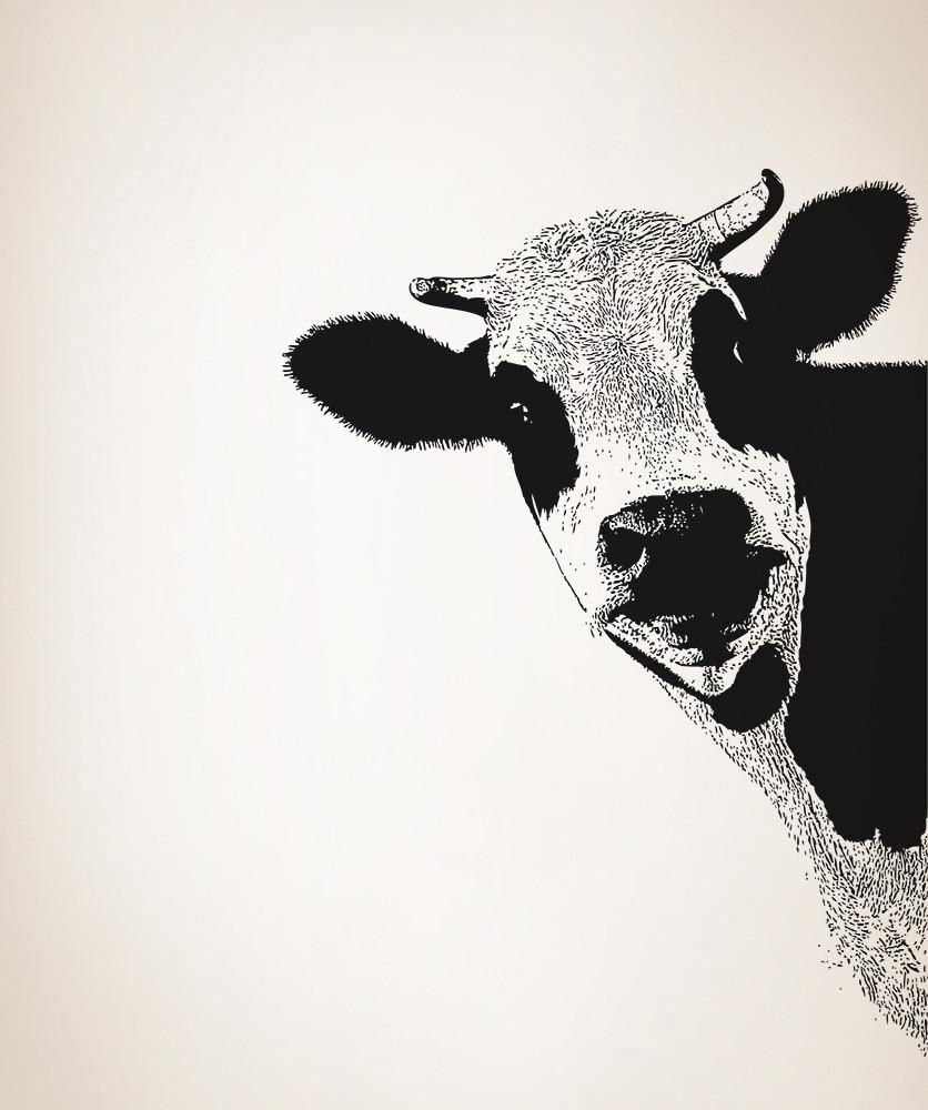 Peeking Cow Wall Decal Sticker for your Kitchen. Dining Room Cow Wall Art. #5476