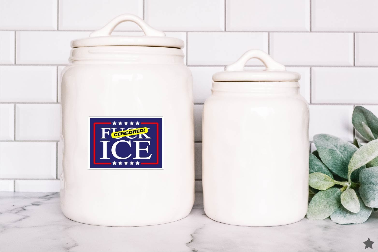 F** Ice Decal Sticker Protest MAGA Trump Anti Raids Support Immigrants Political