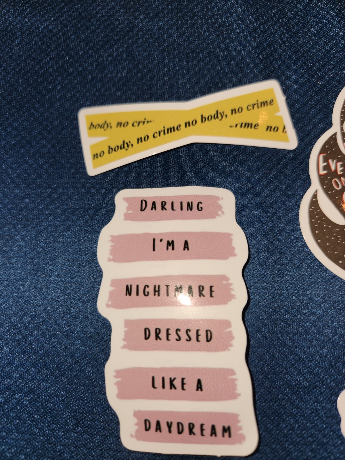 15 Taylor Swift Things Said Stickers, Swiftie, Laptop Stickers, Swiftie Decals
