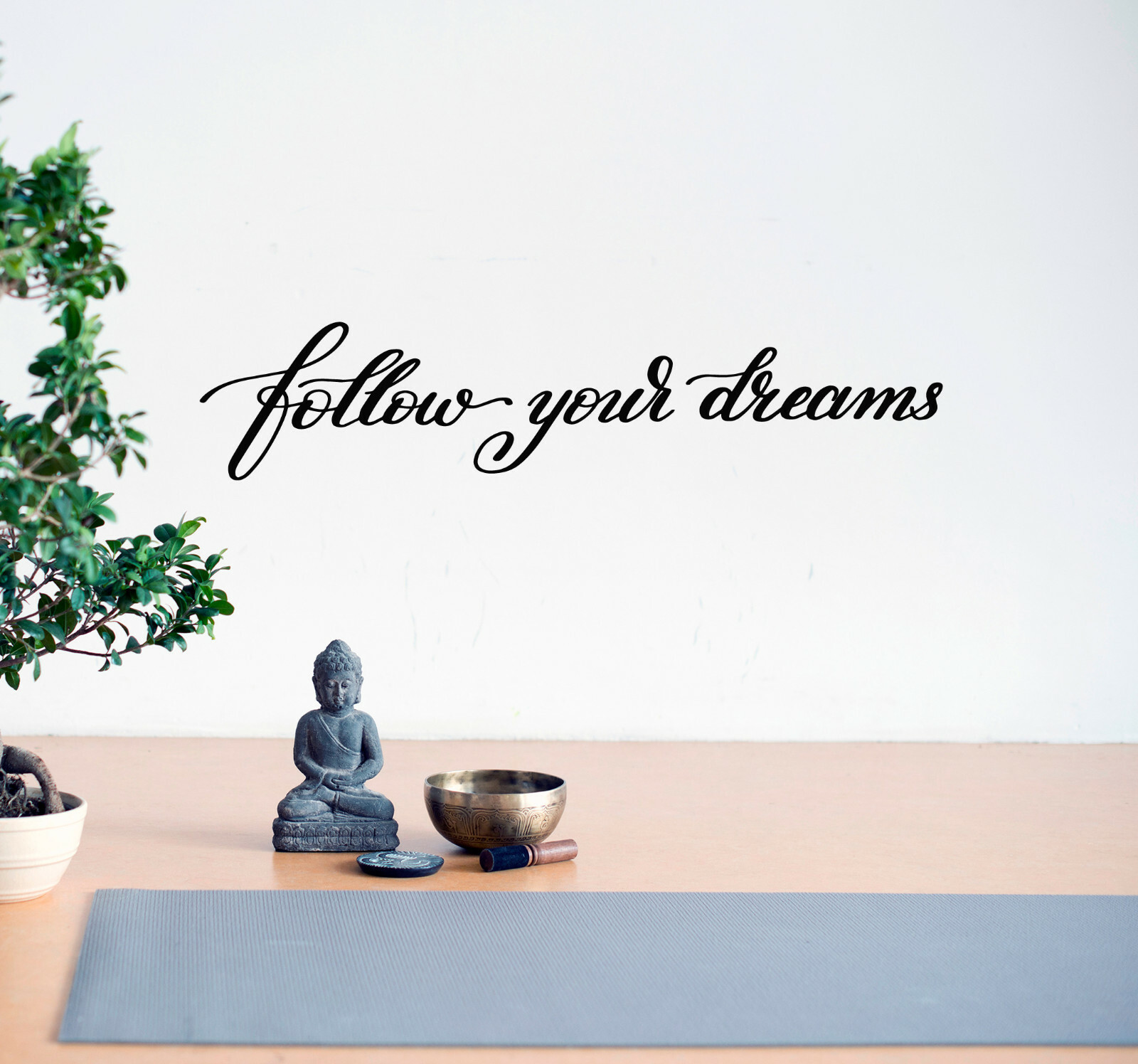 Vinyl Wall Decal Inspiring Quote Follow Dreams Stickers 28.5 in x 6 in gz205