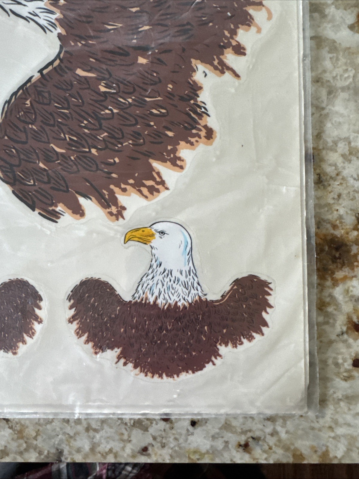 NOS 1986 Hand Painted Eagle Decals Stickers Sports & Wildlife Decorcal USA Made