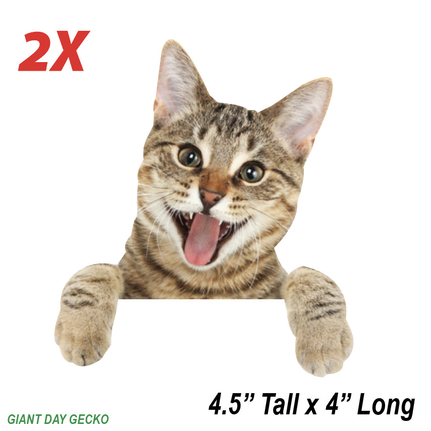 2X Two Peeper Cat Kitten Kitty Meow car Laptop Wall Sticker Decal USA Stickers