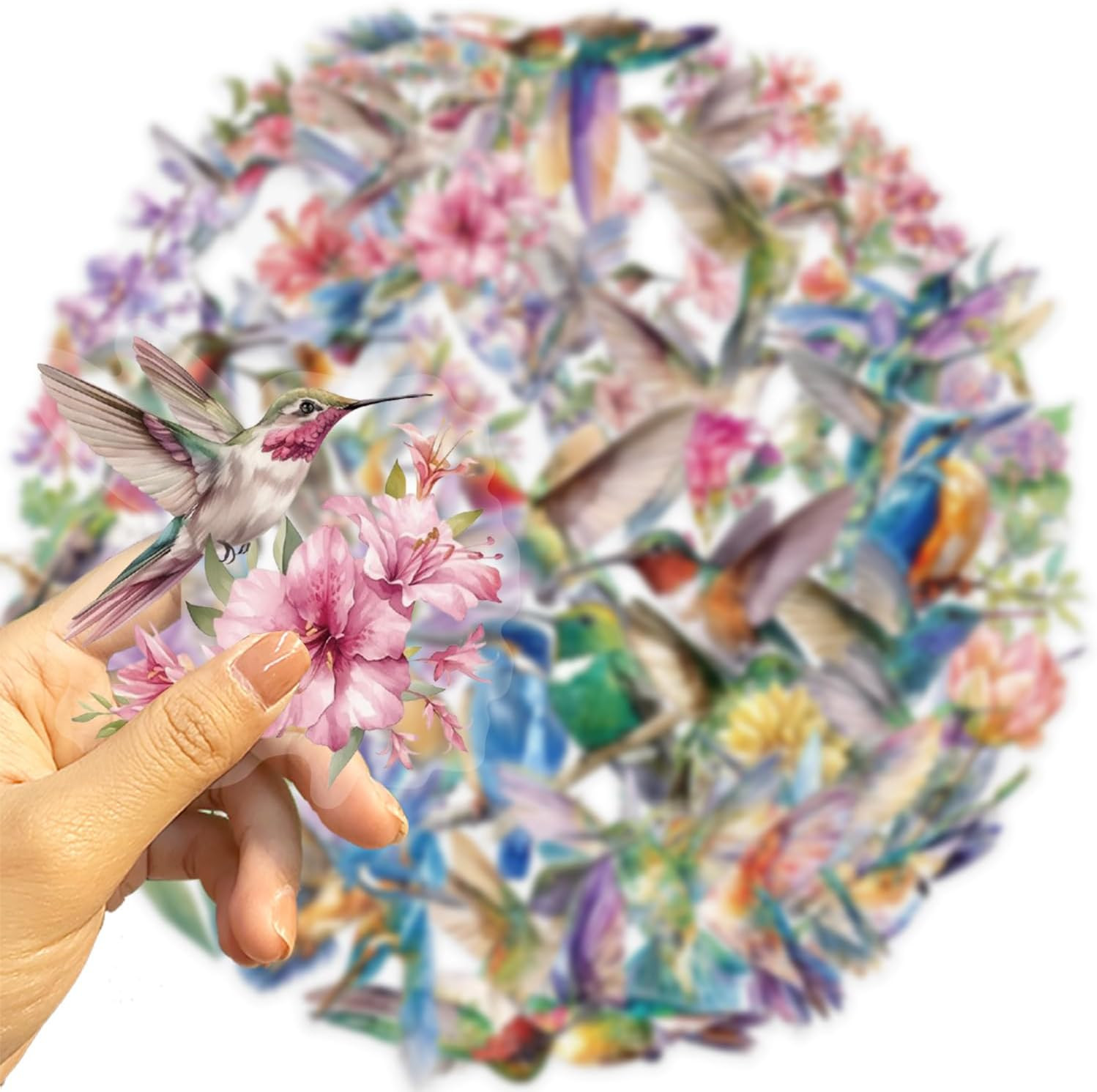 50PCS Hummingbird Stickers PET Transparent Stickers Nature Decals Waterproof Dec