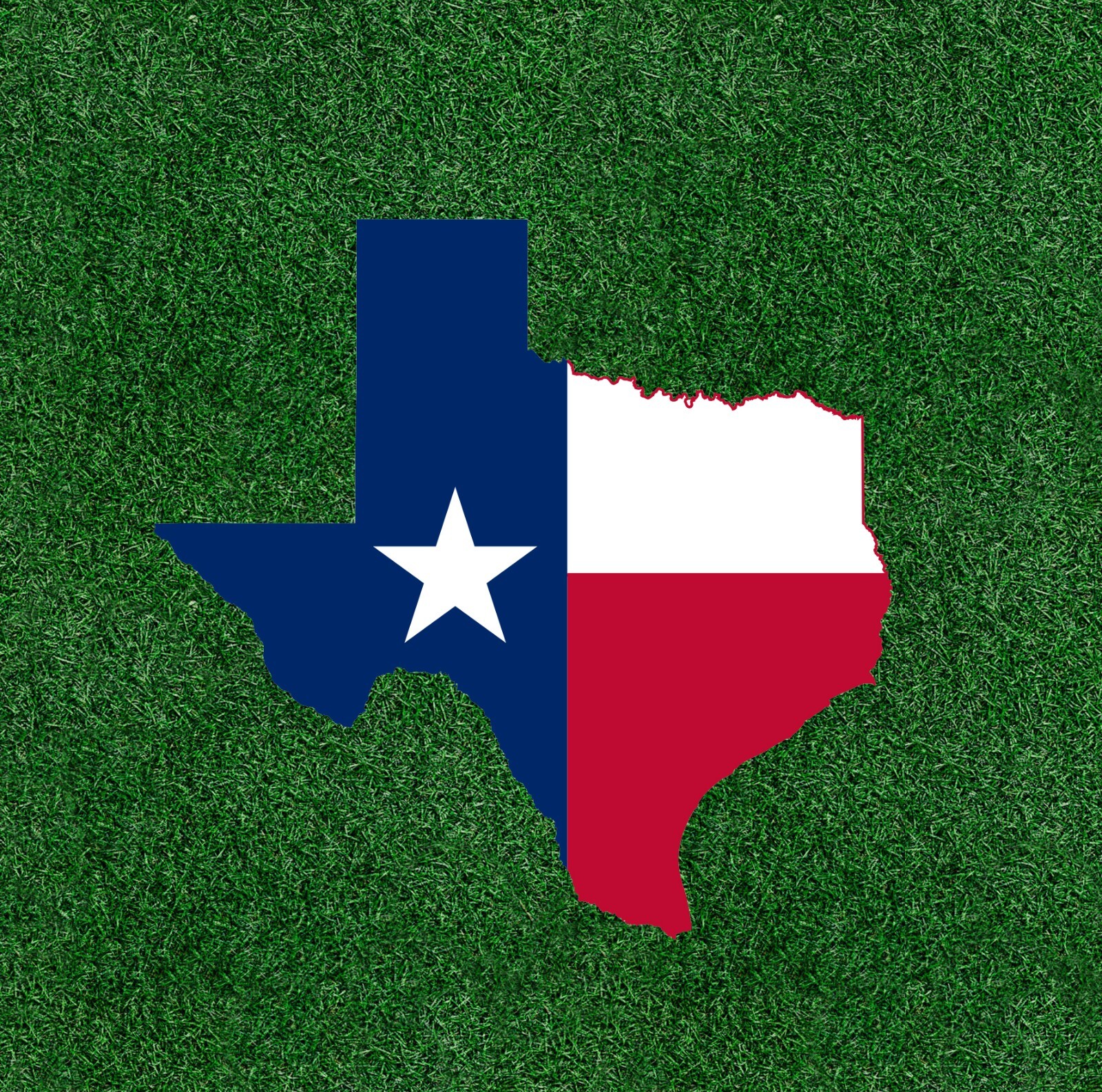Texas State Flag sticker decal – many sizes available