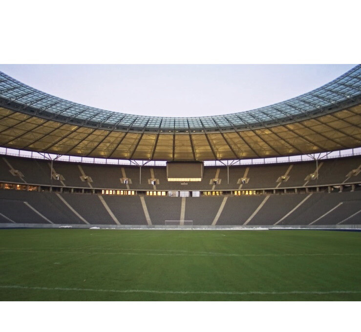Wall Mural Goal Soccer Stadium World Cup Penalty Kick At 3 Wide By 2 Feet High