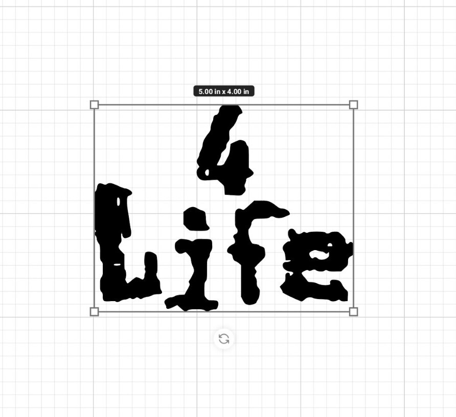 VINTAGE NWO "4 Life" WCW Sticker Decal Phone laptop Car Window art 5×4!