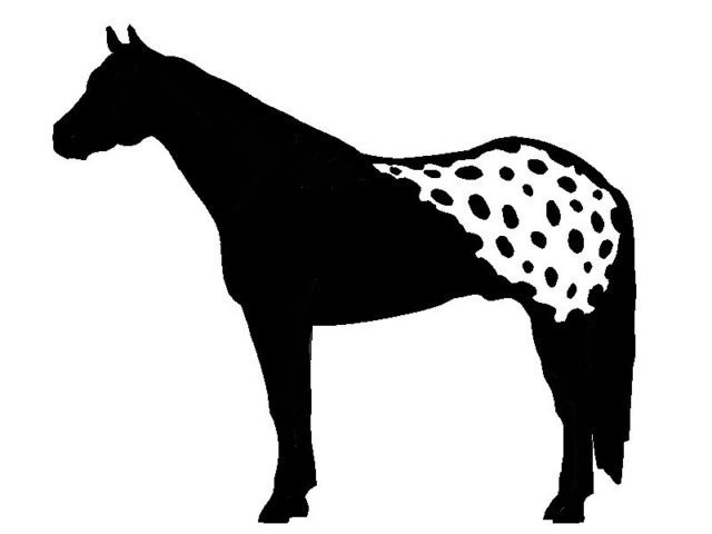 2 LARGE 12.5" APPALOOSA HORSE STICKERS MIRRORED DECAL APPALOSSA HORSE *C790*