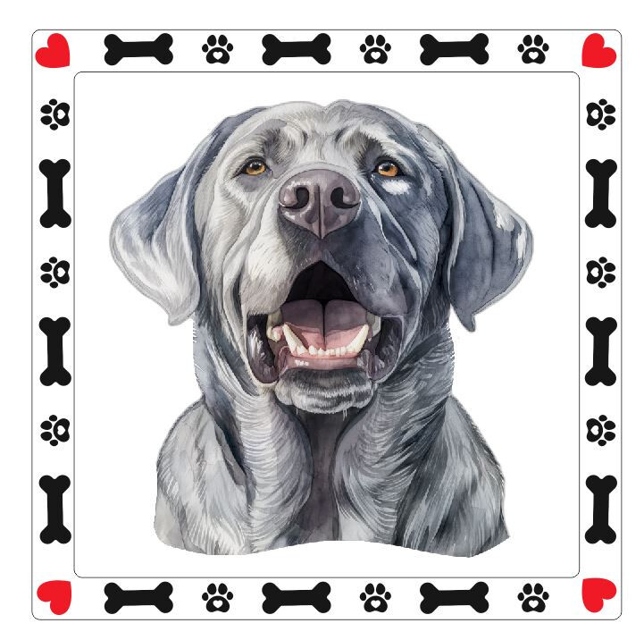Silver Lab Labrador Retriever Dog Sticker Decal A945